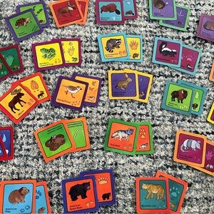 Rangerland North American animal tracks matching game